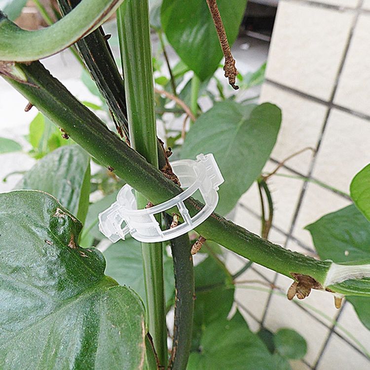 Plant Support Clips