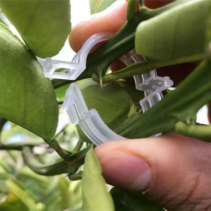 Plant Support Clips